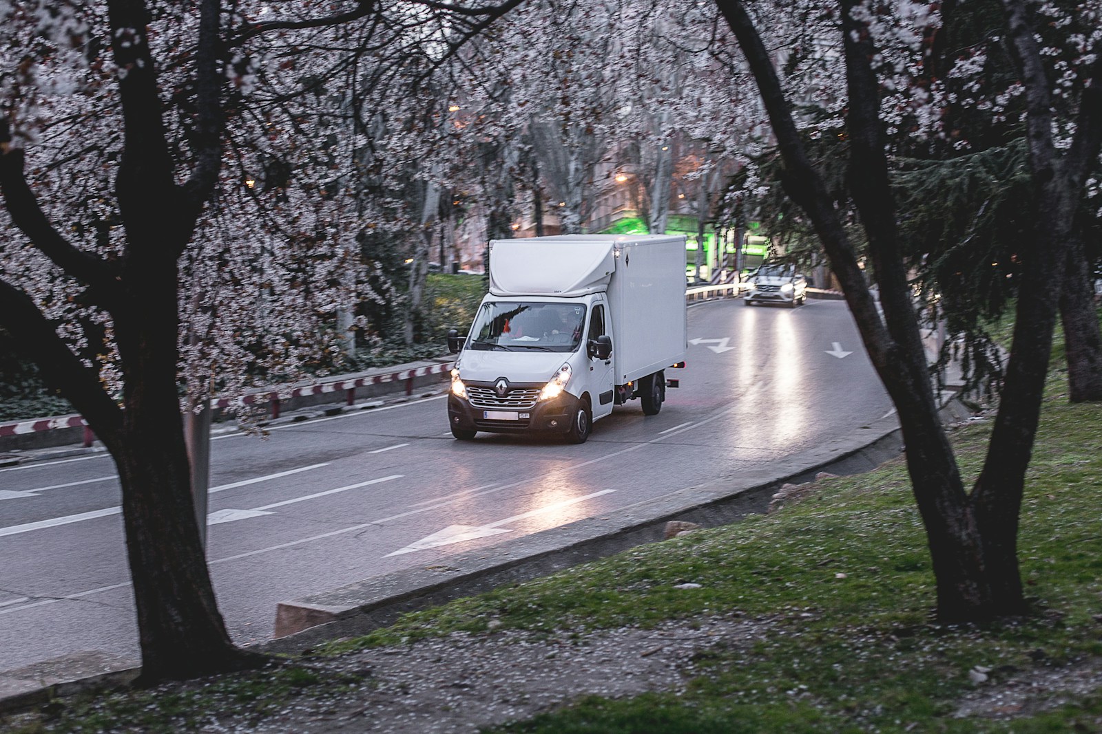 commercial auto, white van on road near trees during daytime